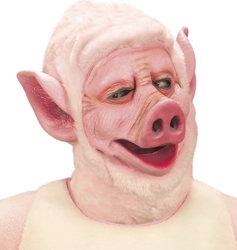 Latex schweine maske - latex,