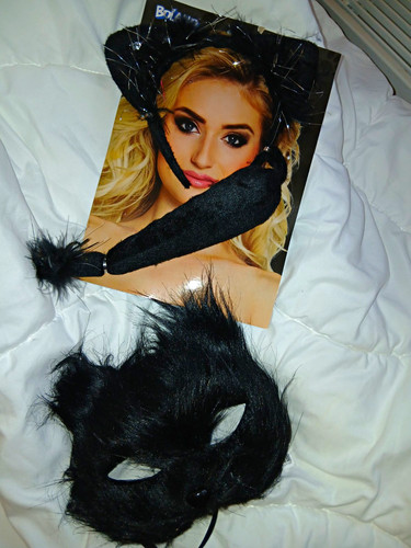 Halloween schwarz katze - schwarz,