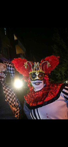Halloweenkostüm - , !